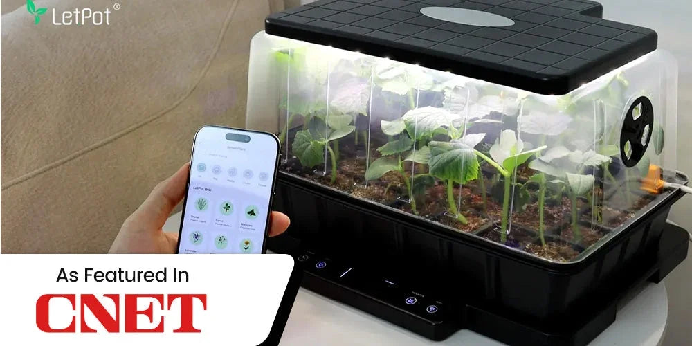 Smart indoor hydroponic garden with app control and LED lighting for year-round plant growth