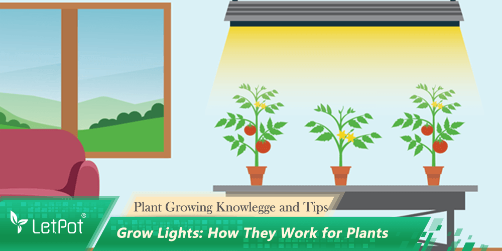 growing light for plants