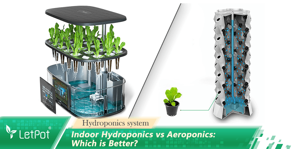 Comparison of indoor hydroponic and aeroponic gardening systems with green plants