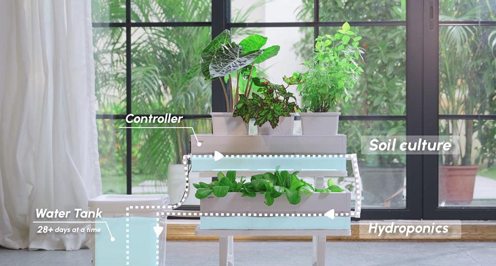 About The LetPot Smart Planter | MP1