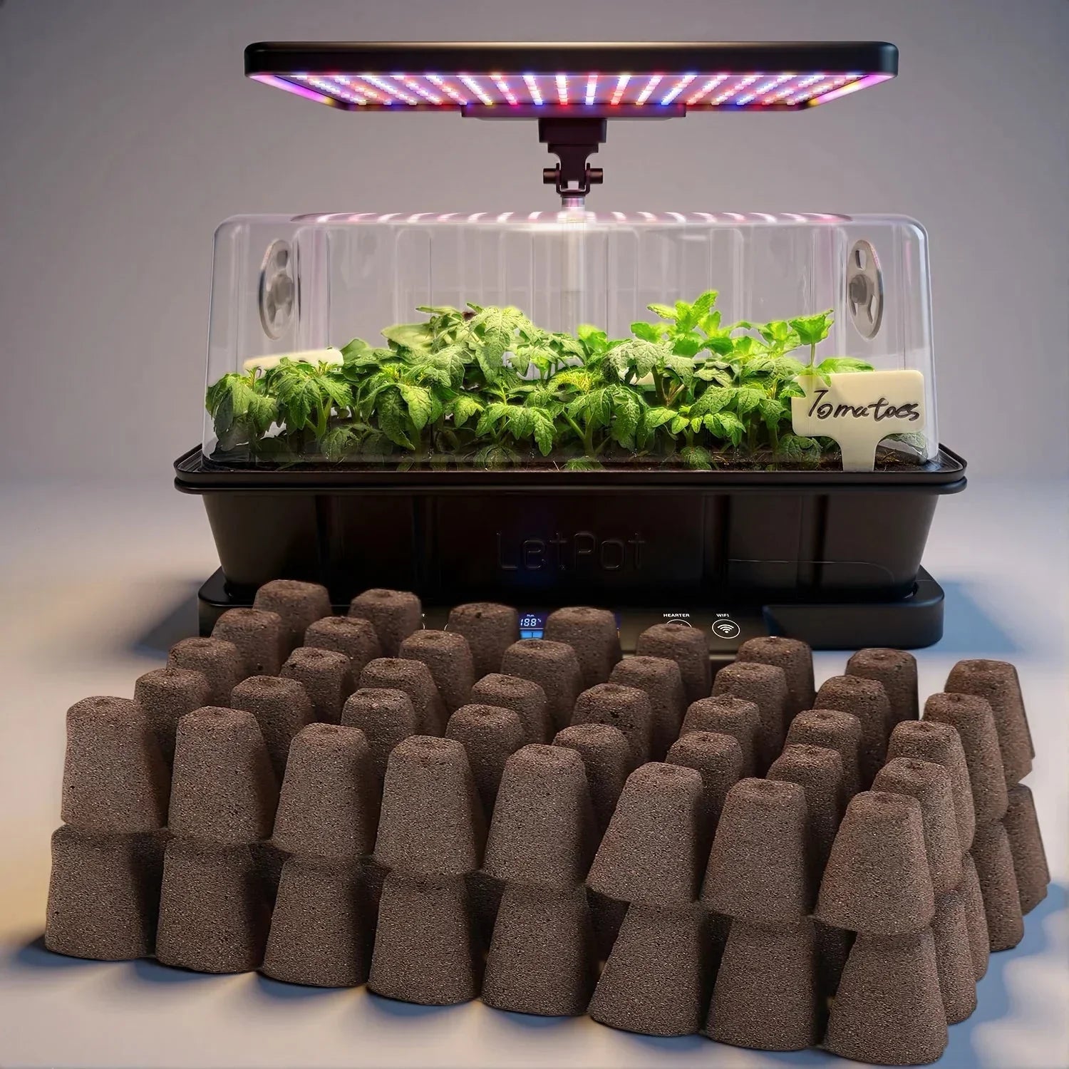 Hydroponic seedling sponges in front of an indoor smart garden growing tomato plants under LED grow lights.