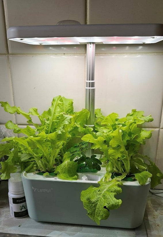 LetPot Mini hydroponics