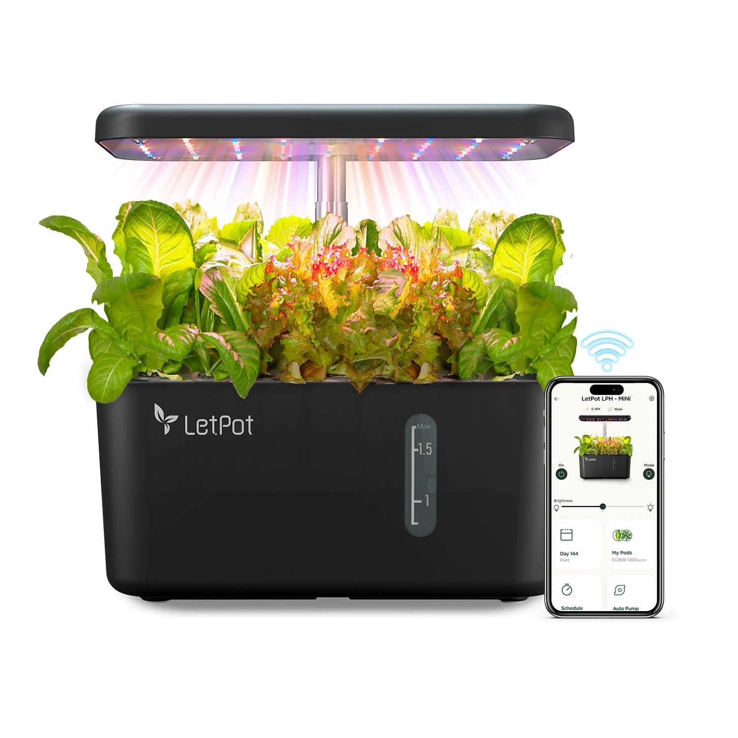LPH-Mini Indoor Hydroponic Garden
