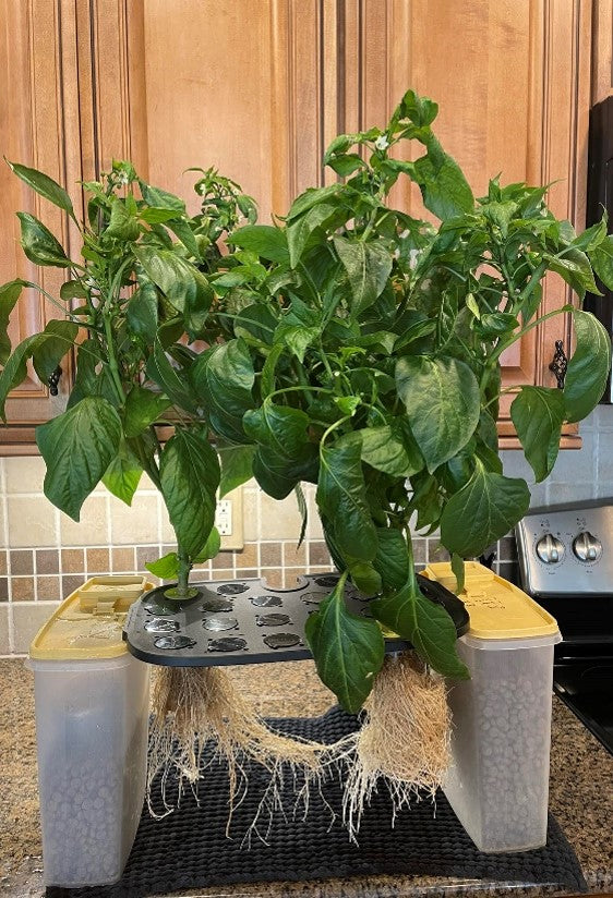 LetPot 21 Pod hydroponics