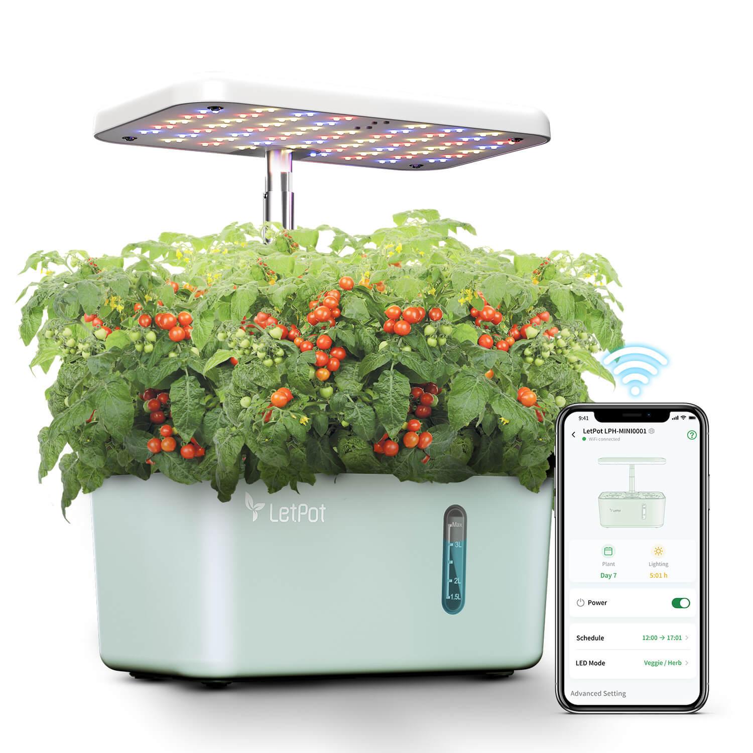 LetPot Mini 5-Pod Indoor Hydroponic Garden