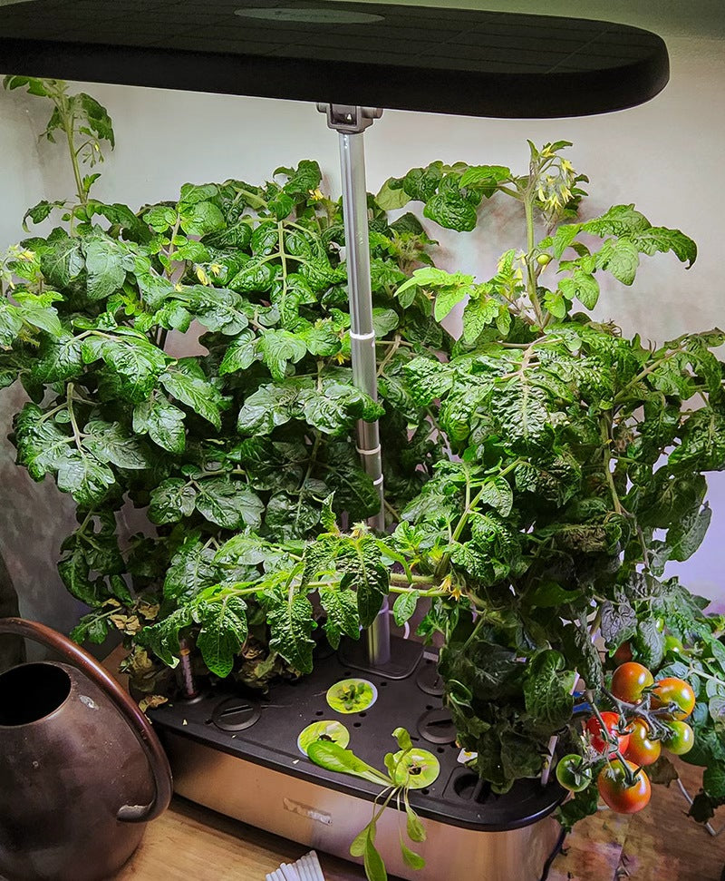 Fresh & Healthy Grows Here