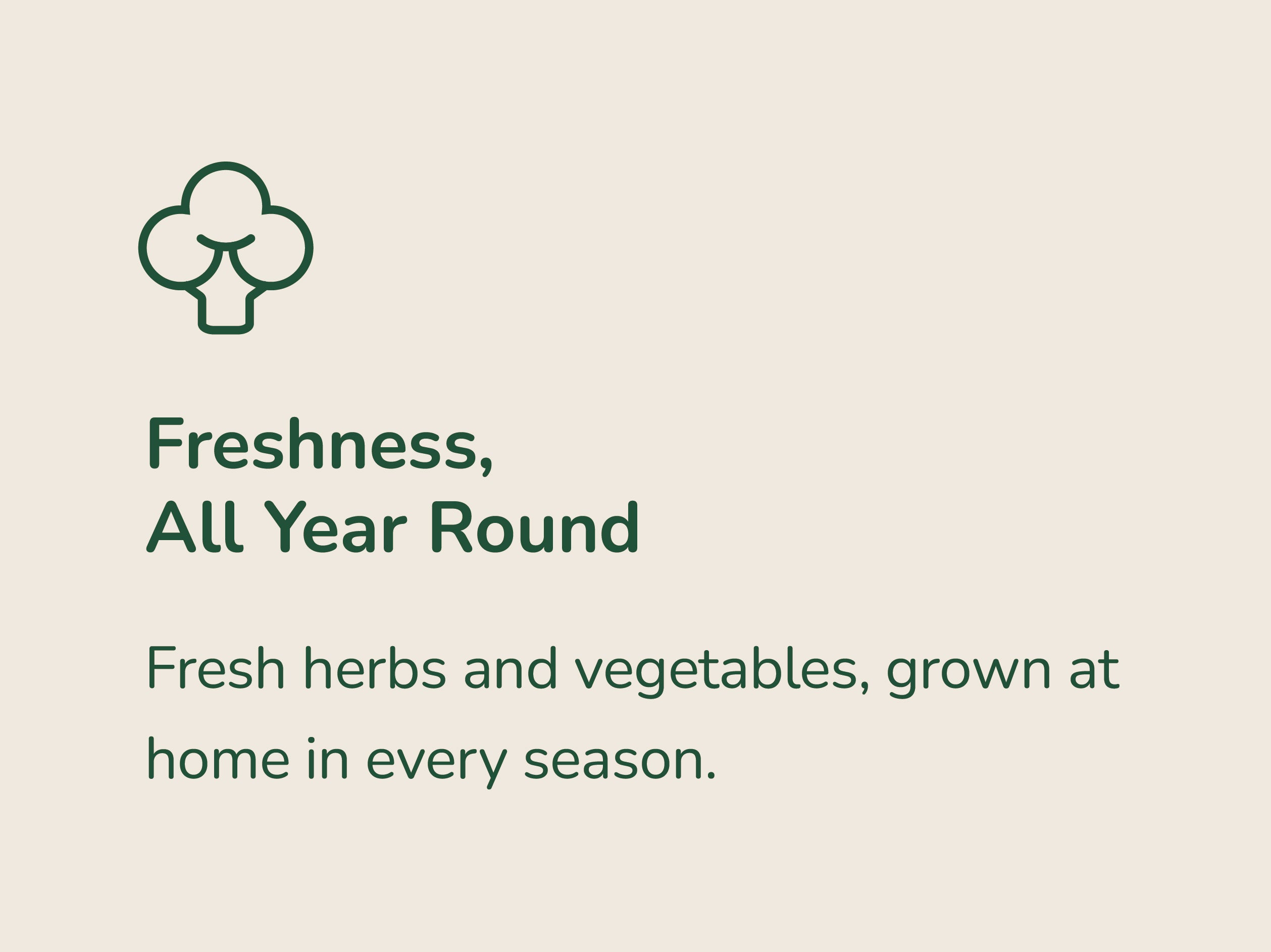 Fresh herbs and vegetables, grown at home in every season.