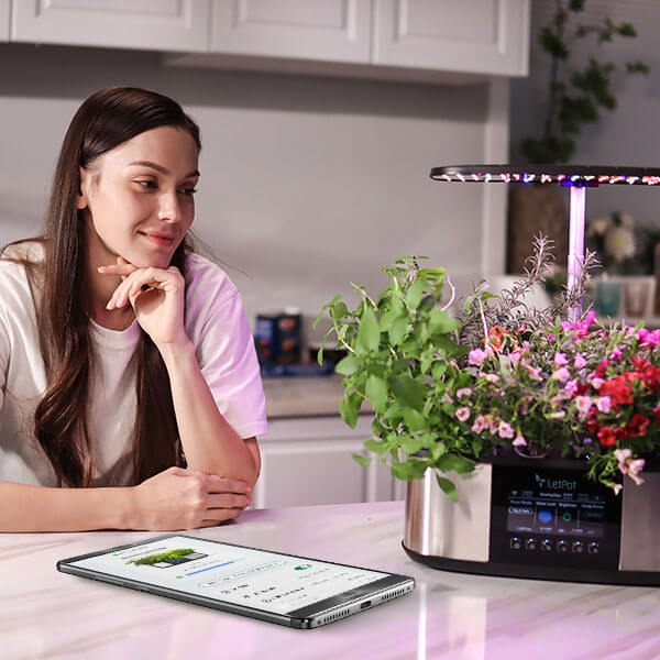 Hydroponic System MAX