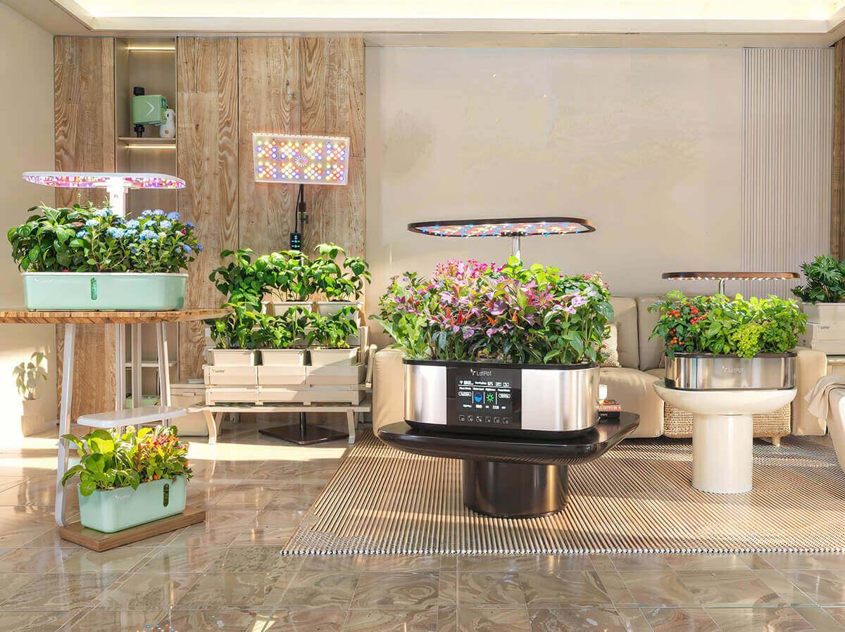 Hydroponics products Family Grow Fresh Herbs & Veggies Effortlessly All Year Round