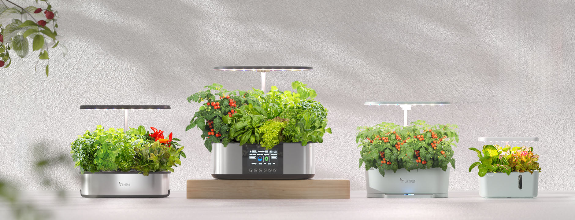 LetPot hydroponic garden