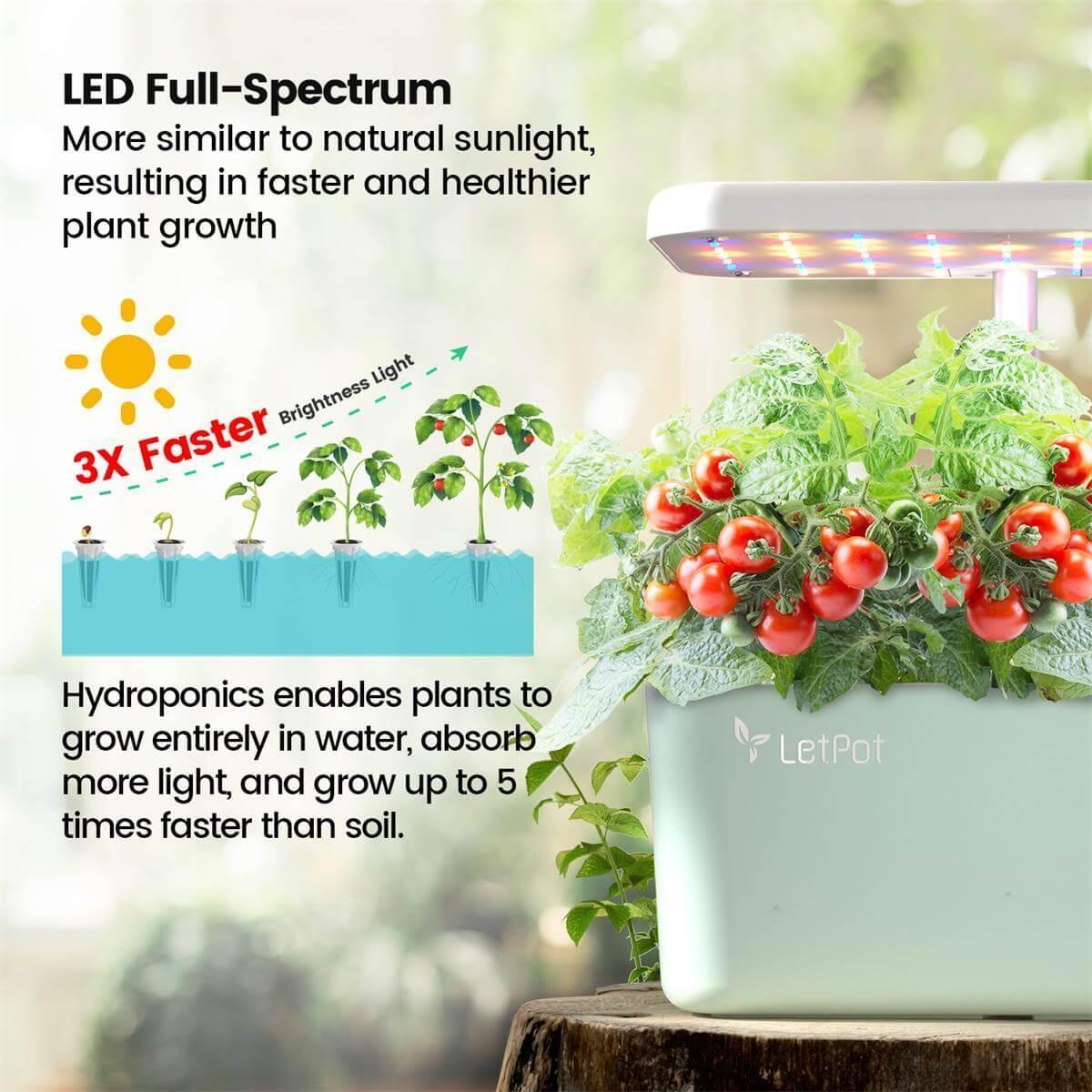 Indoor hydroponic grow light system with full-spectrum LED for faster tomato plant growth