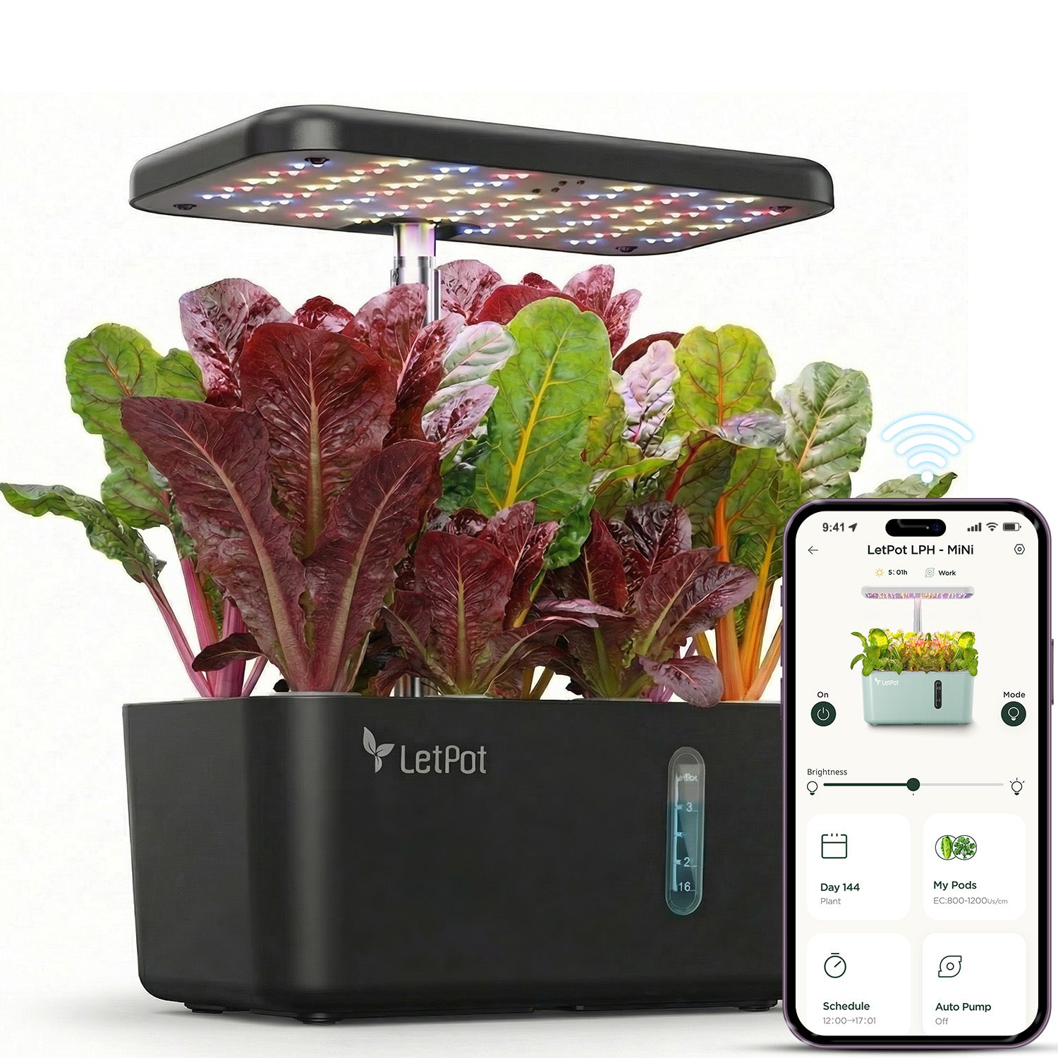 Indoor hydroponic garden with LED grow light and app-controlled plant care system