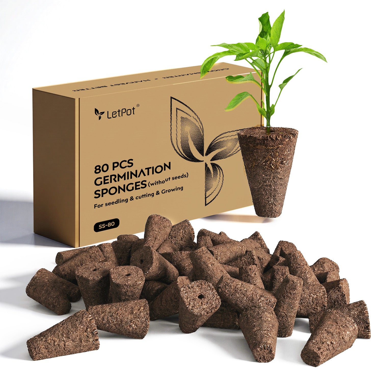 planting seeds in sponge 80 Pcs Seedling Sponges For SS-Pro