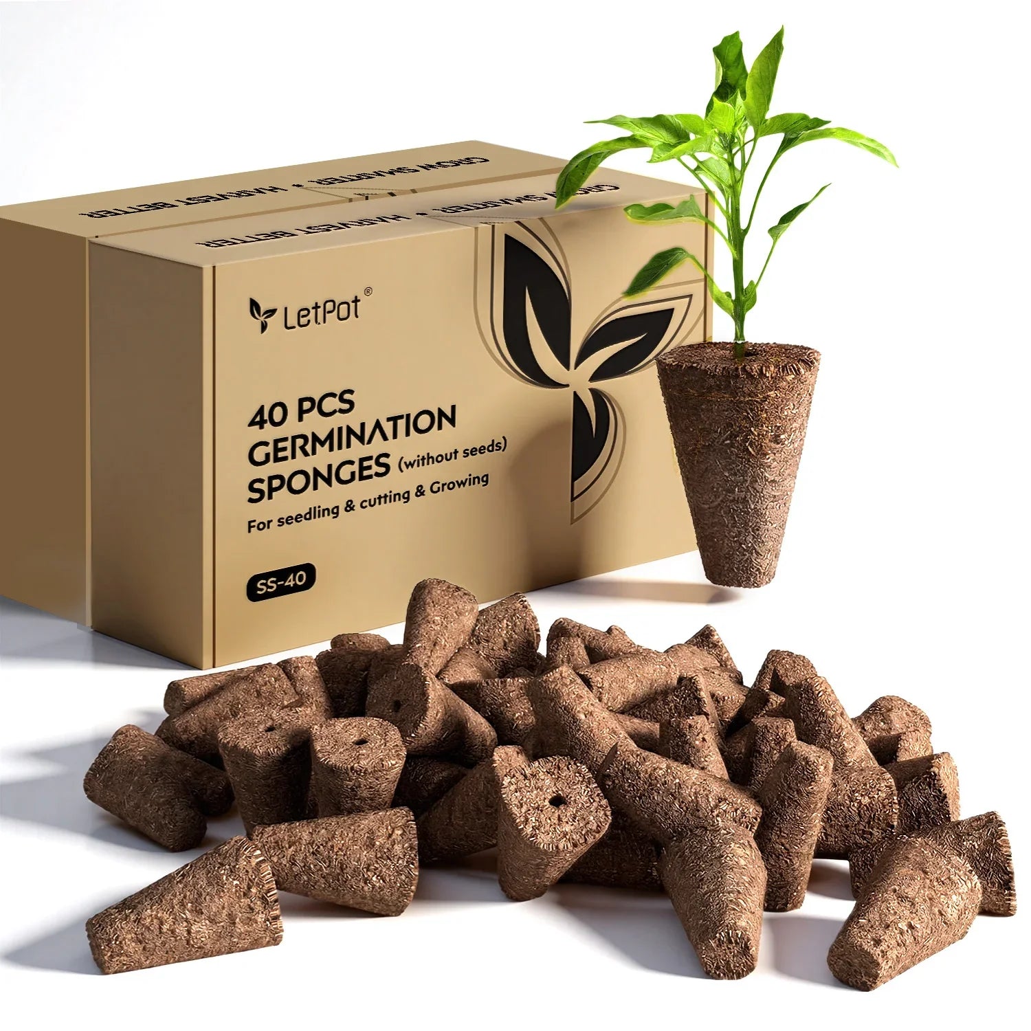 80 Pcs Seedling Sponges For SS-Pro