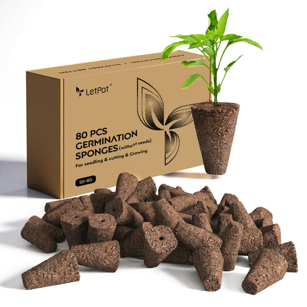 can you plant hydroponic sponges in soil 80 Pcs Seedling Sponges For SS-Pro