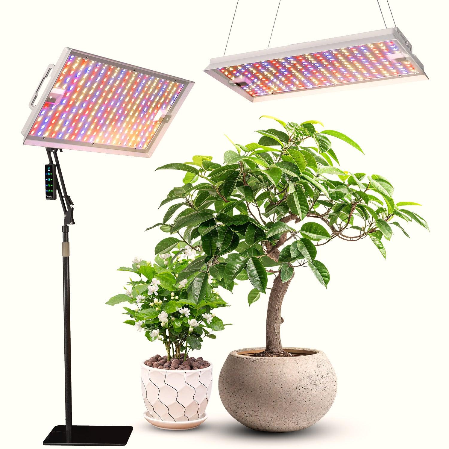 LED grow lights for indoor plants above two potted plants, promoting healthy growth indoors.