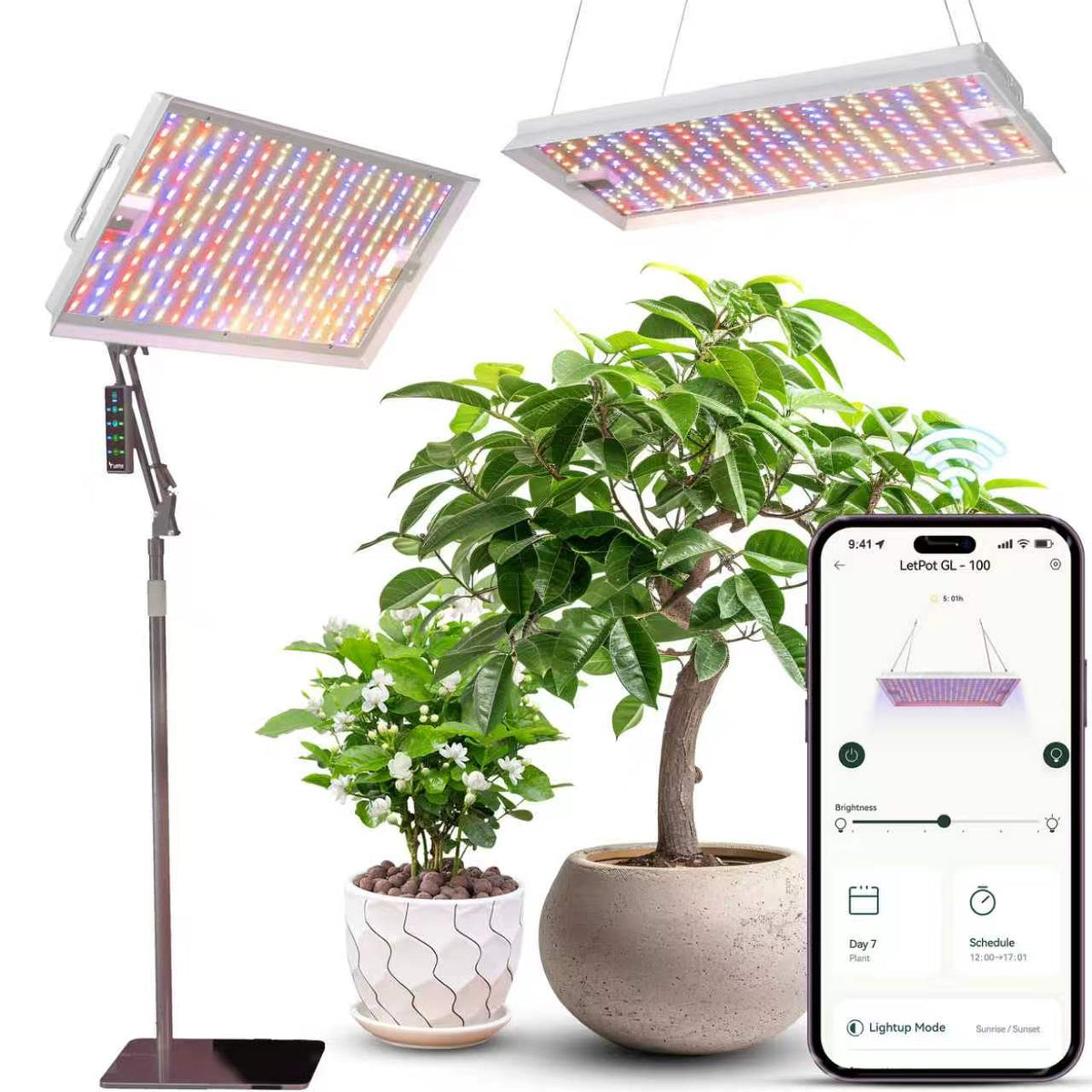 LED grow lights for indoor plants above two potted plants, promoting healthy growth indoors.