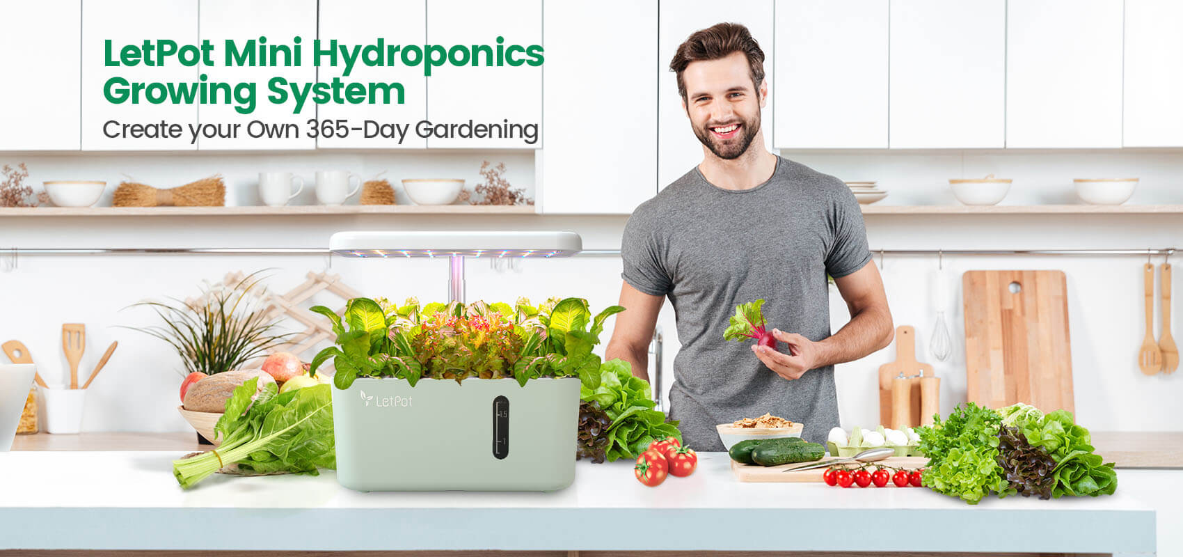LetPot Mini Hydroponic Growing System - Create Your Own 365-Day Garden
