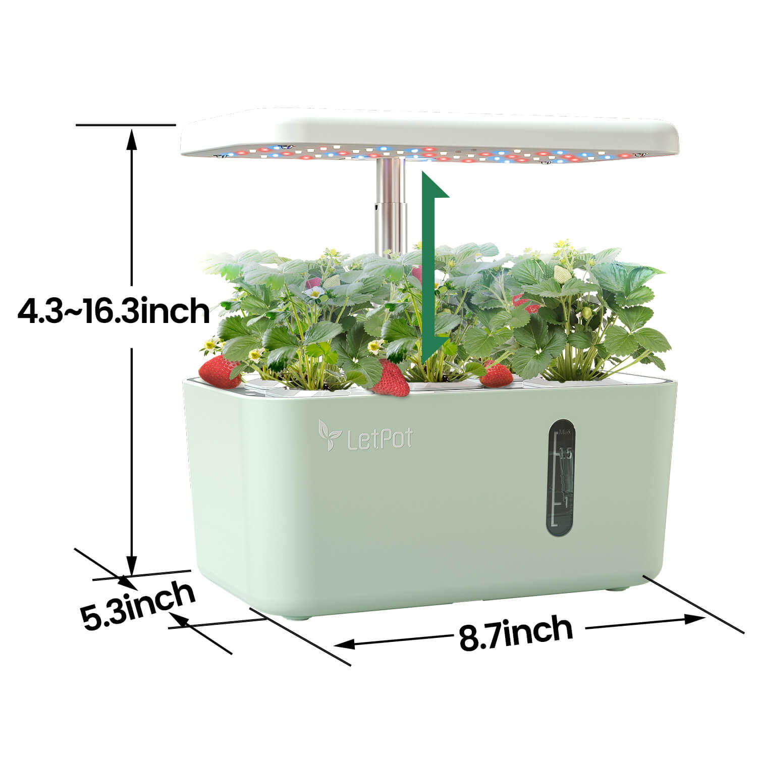 LetPot Mini Hydroponic Growing System - Product Size for Indoor Gardening