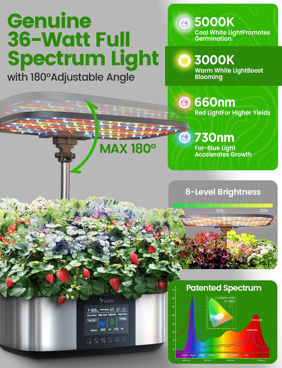 Indoor hydroponic system with adjustable 36-watt full spectrum LED grow light over leafy plants and strawberries.