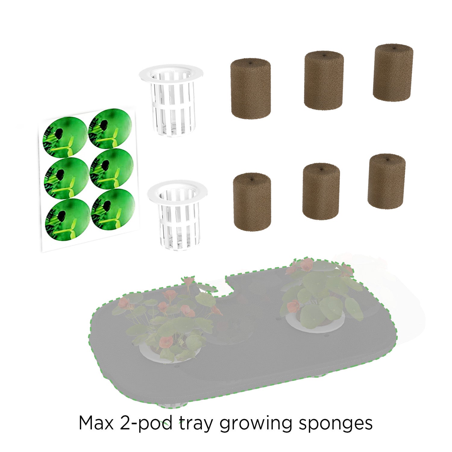 Sponge kit for LetPot Max hydroponics gardening system