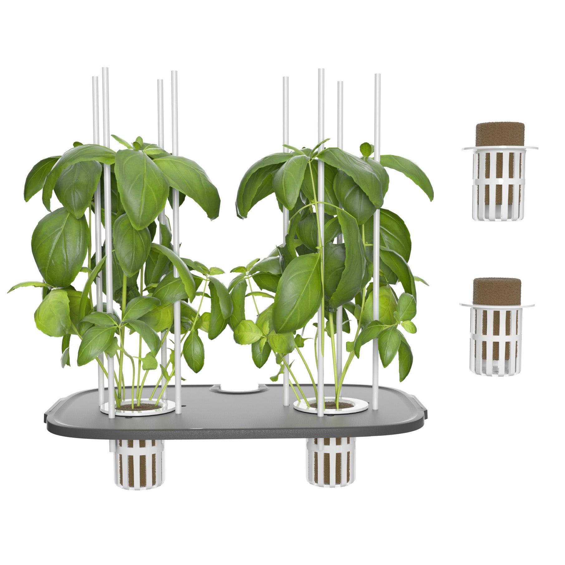 pots for hydroponic plants LPH-Max‘s 2-Pod Growing Tray ( for bigger plants )