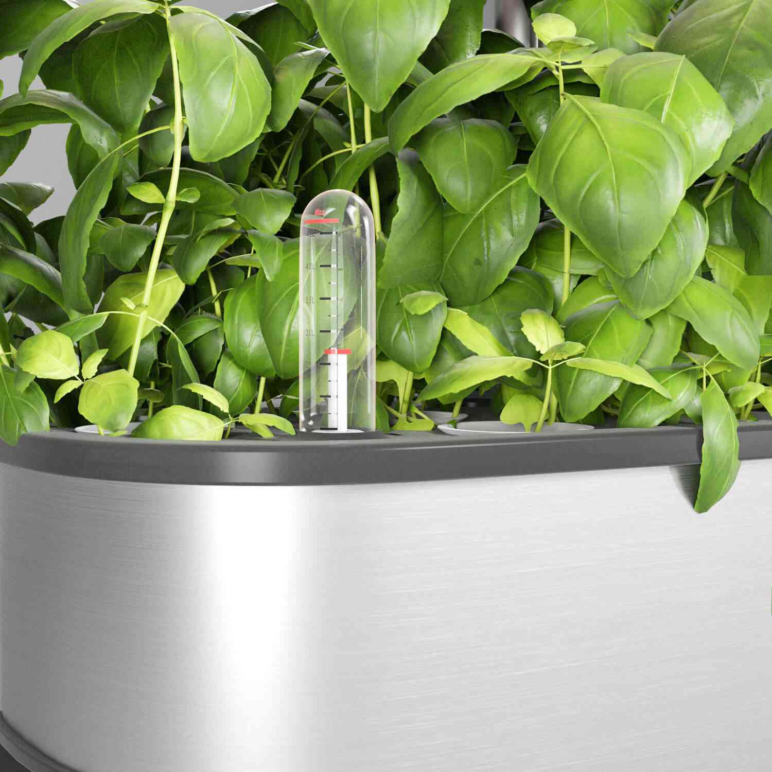 Never Let Your Plants Go Thirsty with LetPot's Transparent Buoy - LetPot Senior