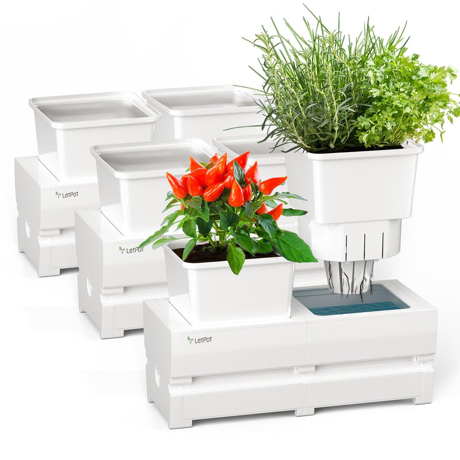Self-watering Planter with 21 Days Watering-free 2 Separate Plant Pots - LetPot's garden