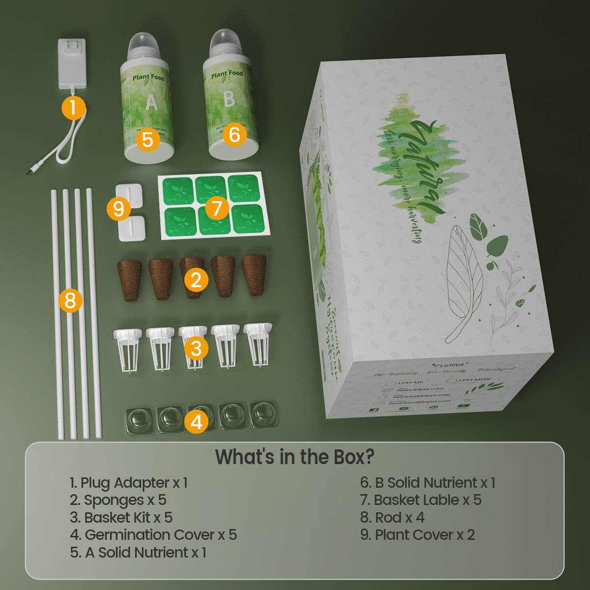 What's in the Box - LetPot Mini Hydroponic Growing System