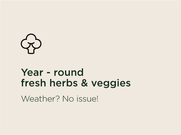 Year_round_fresh_herbs_veggies