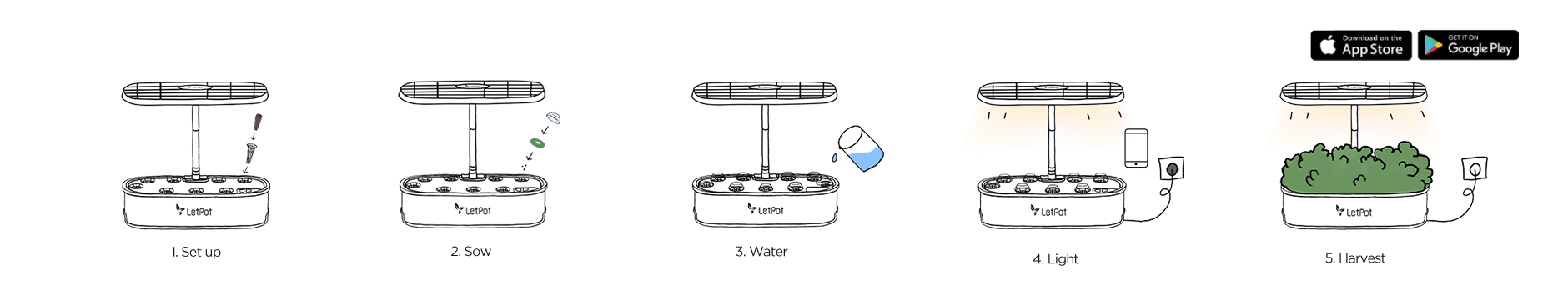 how hydroponic works