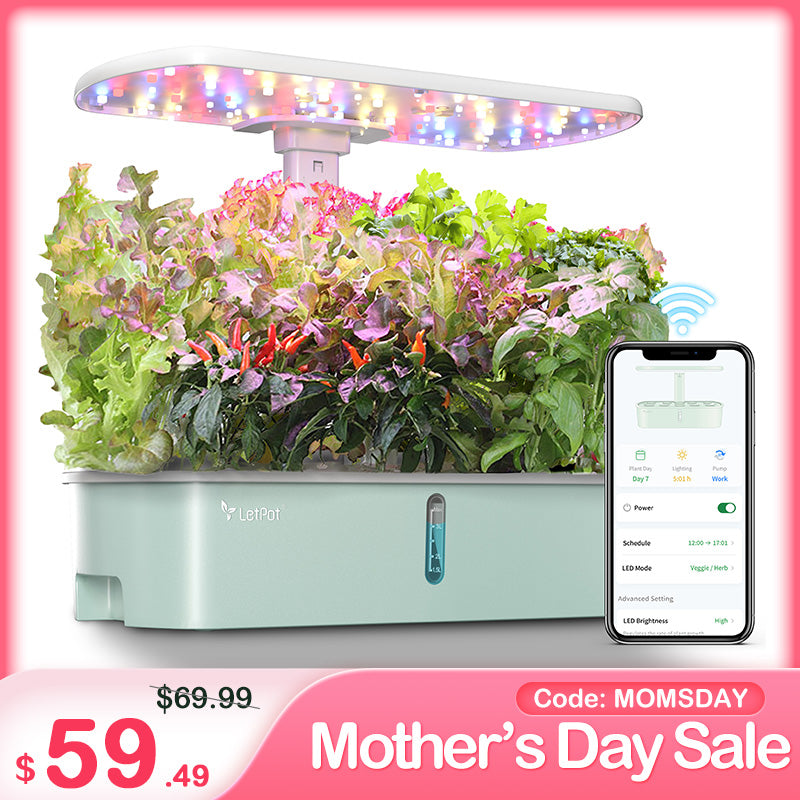 LetPot Air 10 Pods Hydroponic Gardening System