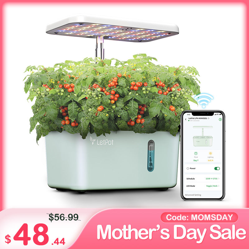 LetPot Mini 5-Pod Indoor Hydroponic Garden