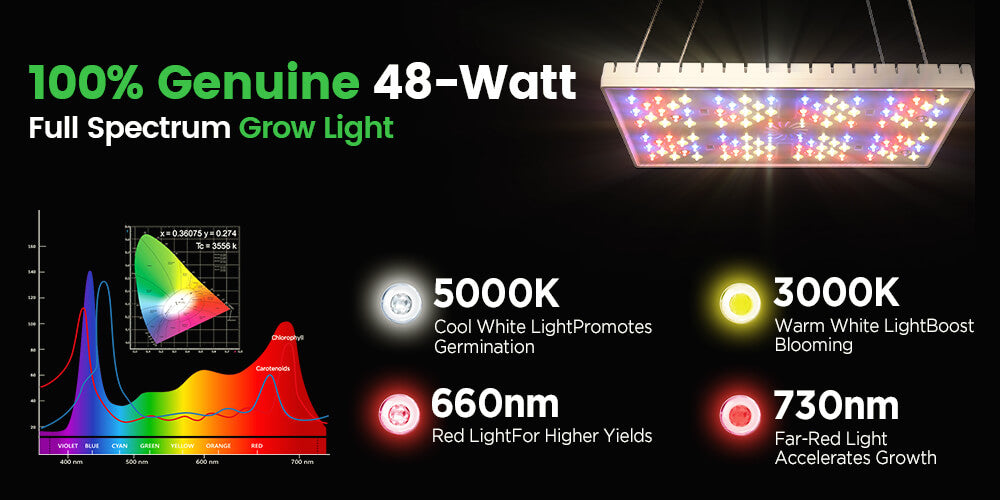 grow lights for indoor plants