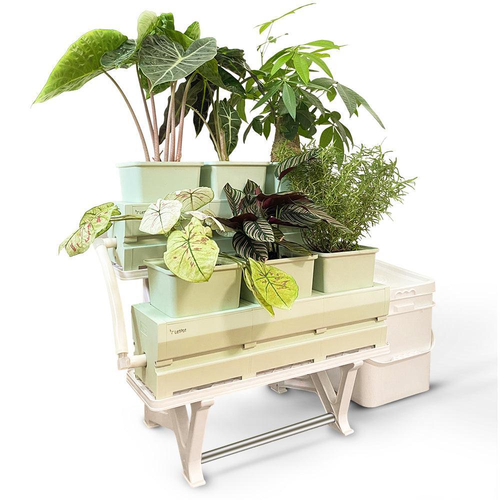 smart-hydroponic-system
