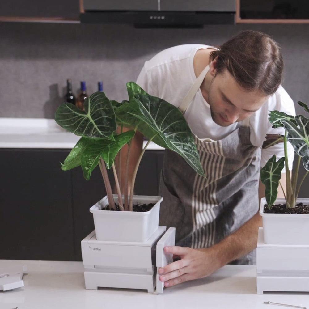 self-watering-planters