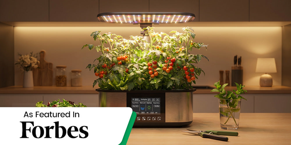 How Forbes Reviewed the LetPot LPH-Max Hydroponic Garden