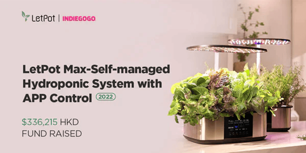 First Successful Crowdfunding on Indiegogo for LetPot Max 4-in-1 Hydroponics System, backed by 145 Supporters. - LetPot's garden