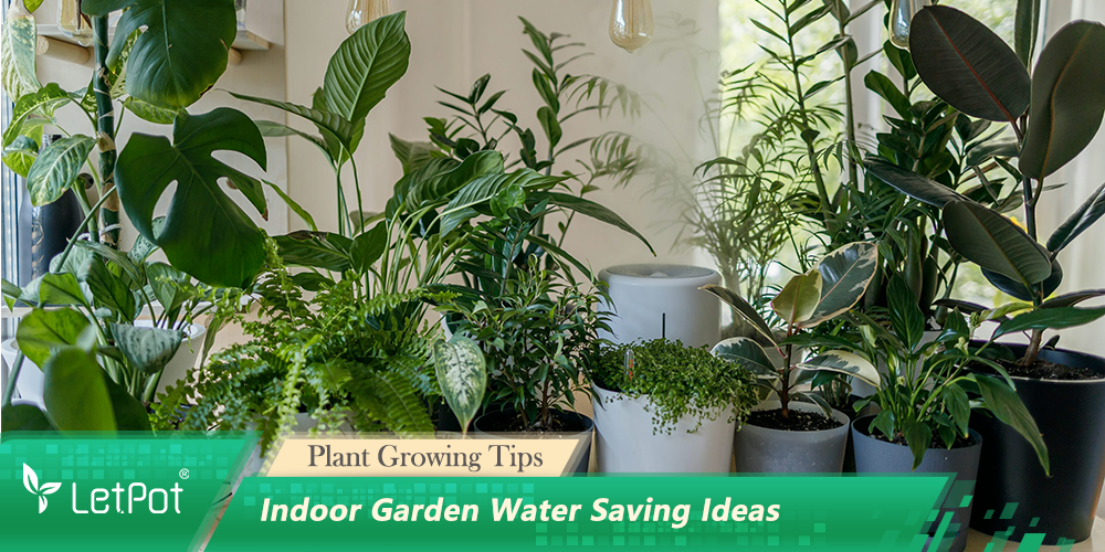 Indoor Garden Water Saving Ideas