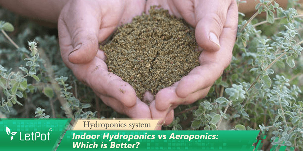 Hands holding soil above green plants, with text: indoor hydroponics vs aeroponics comparison