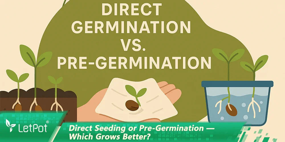Illustration comparing direct seeding and pre-germination for indoor plant growth