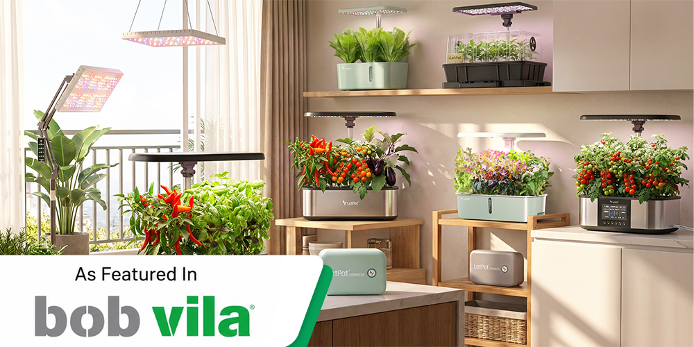 Bob Vila Shares 5 Common Seed-Starting Mistakes and How the LetPot SS-Pro Helps