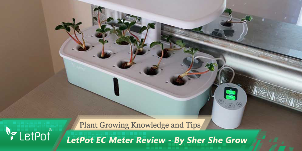 LetPot EC Meter Review
