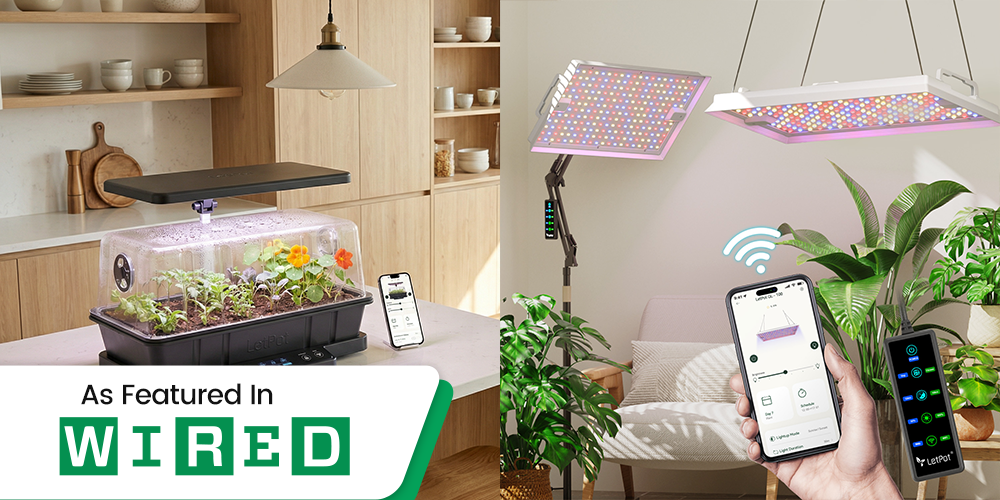 WIRED Recommends LetPot Indoor Gardening Systems and Grow Lights