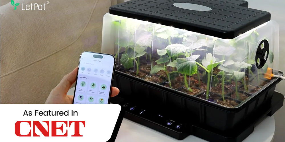 LetPot Smart Seed Starter Featured in CNET for Simplifying Indoor Growing
