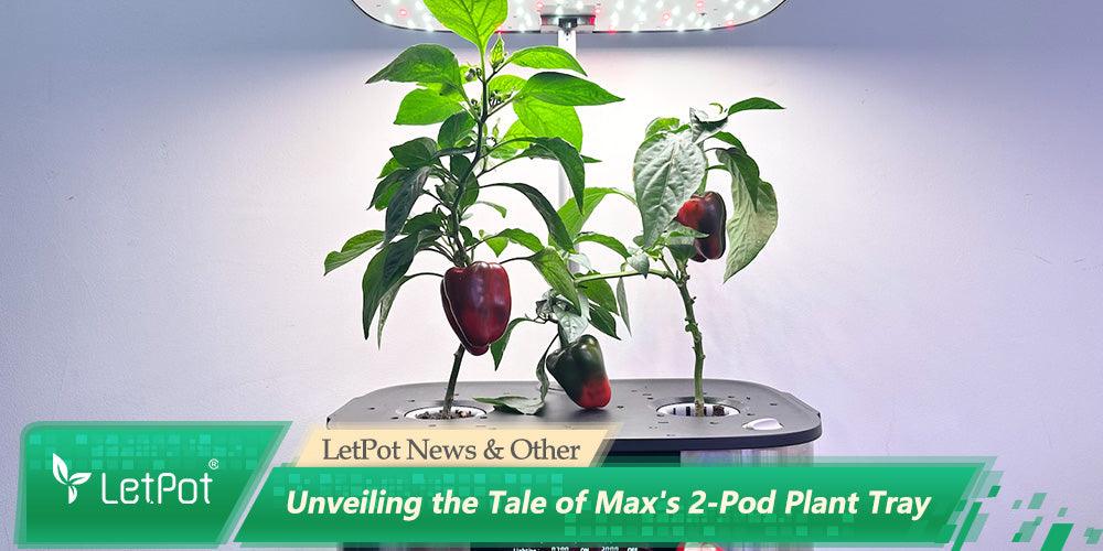 Indoor hydroponic system with LED grow light and two pepper plants in a 2-pod tray.