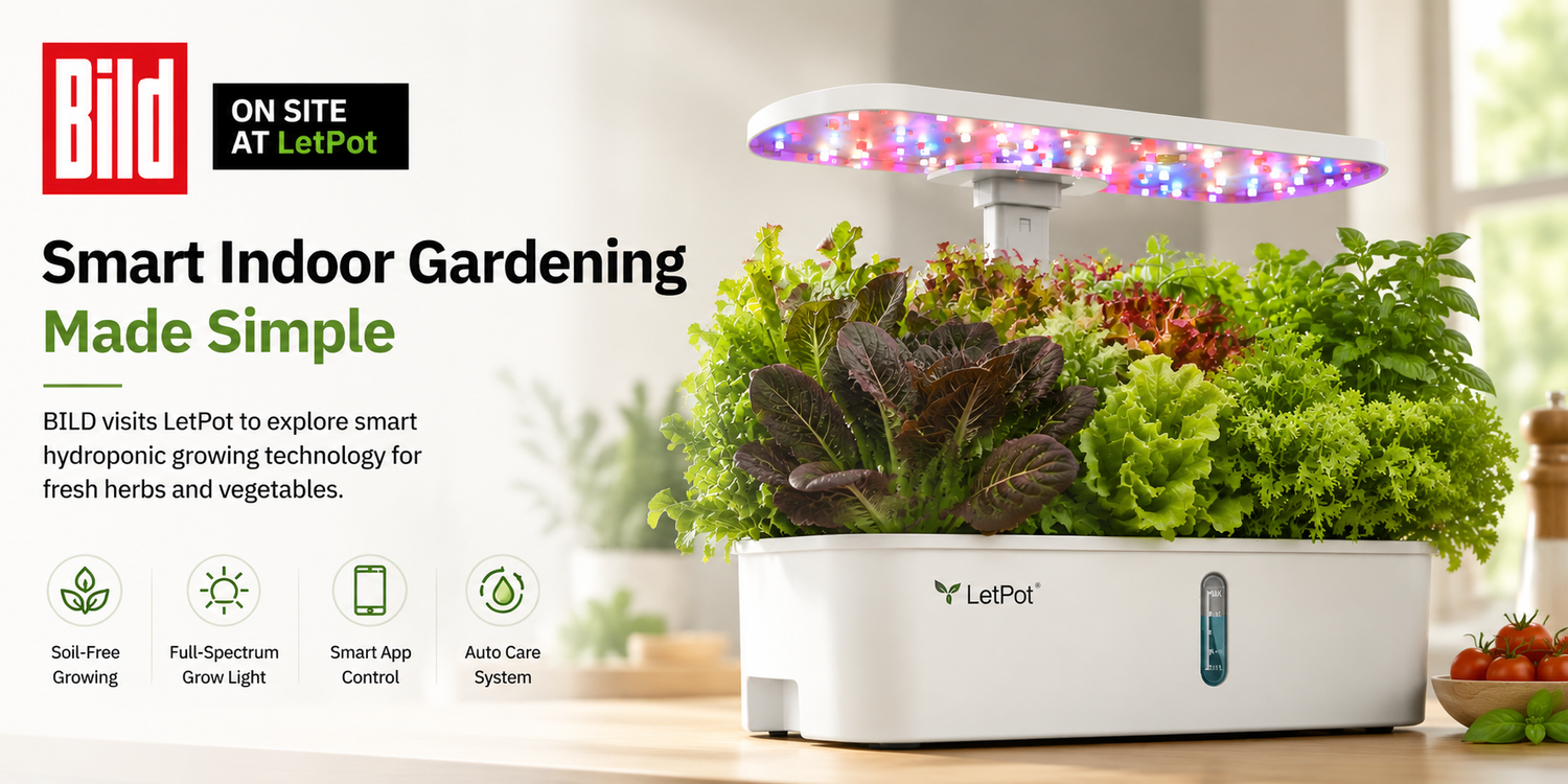BILD Explores the Future of Smart Indoor Gardening with LetPot