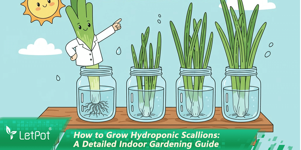 How to Grow Hydroponic Scallions: A Detailed Indoor Gardening Guide
