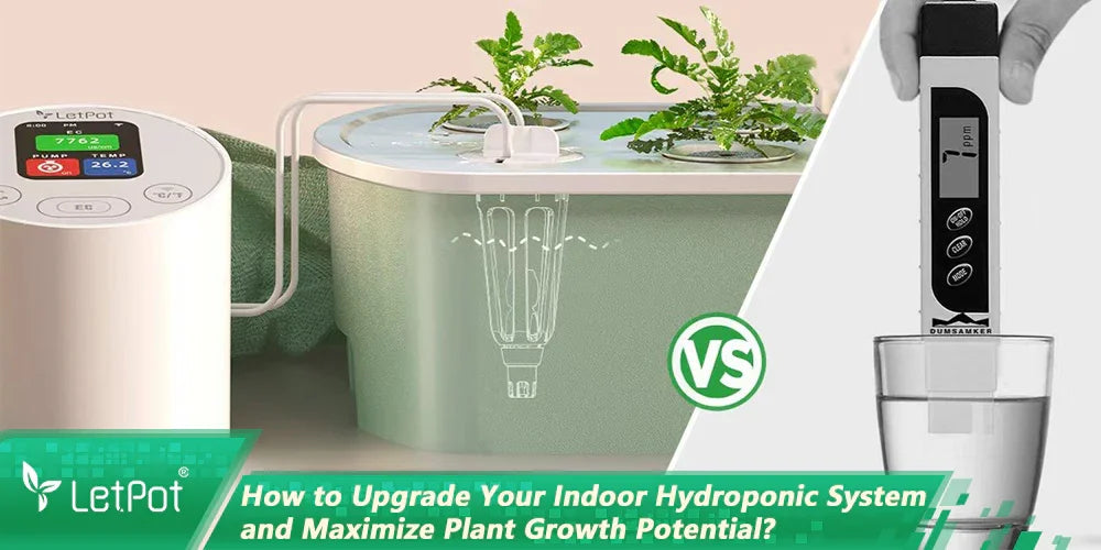 Digital hydroponic system with control panel and smart water quality tester for indoor gardening