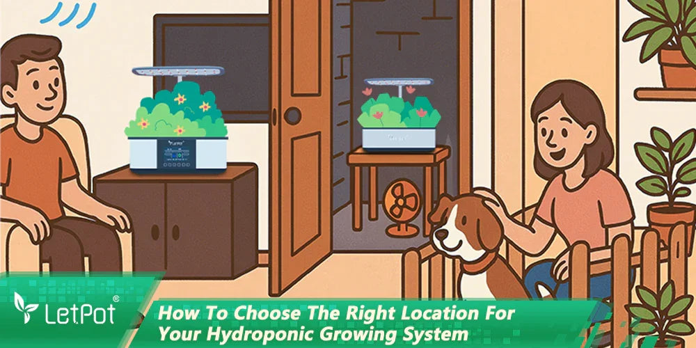 How To Choose The Right Location For Your Hydroponic Growing System